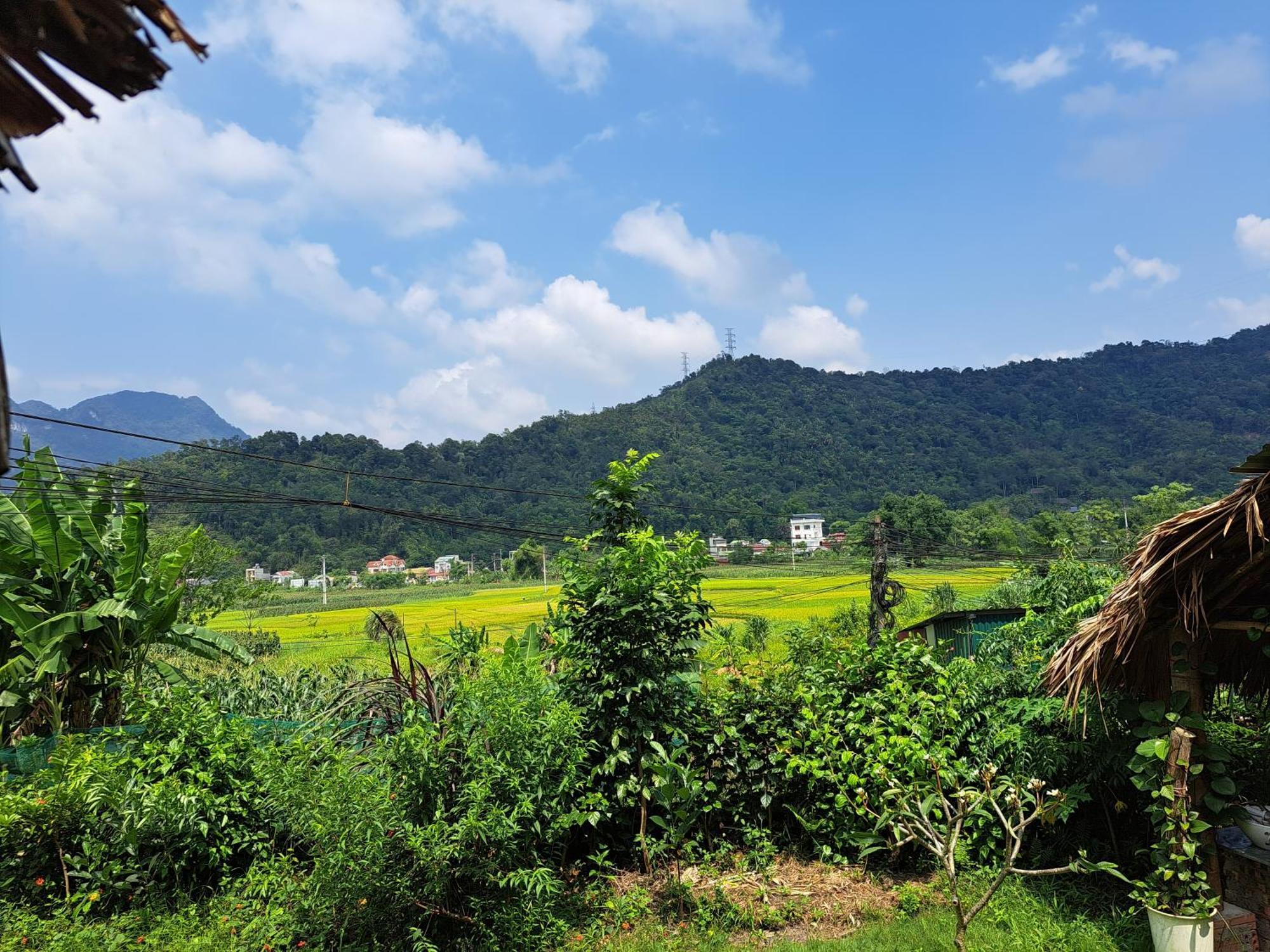 Homestay Field - Bungalow, Ha Giang Loop Tour, Motorbikes Rental Bagian luar foto
