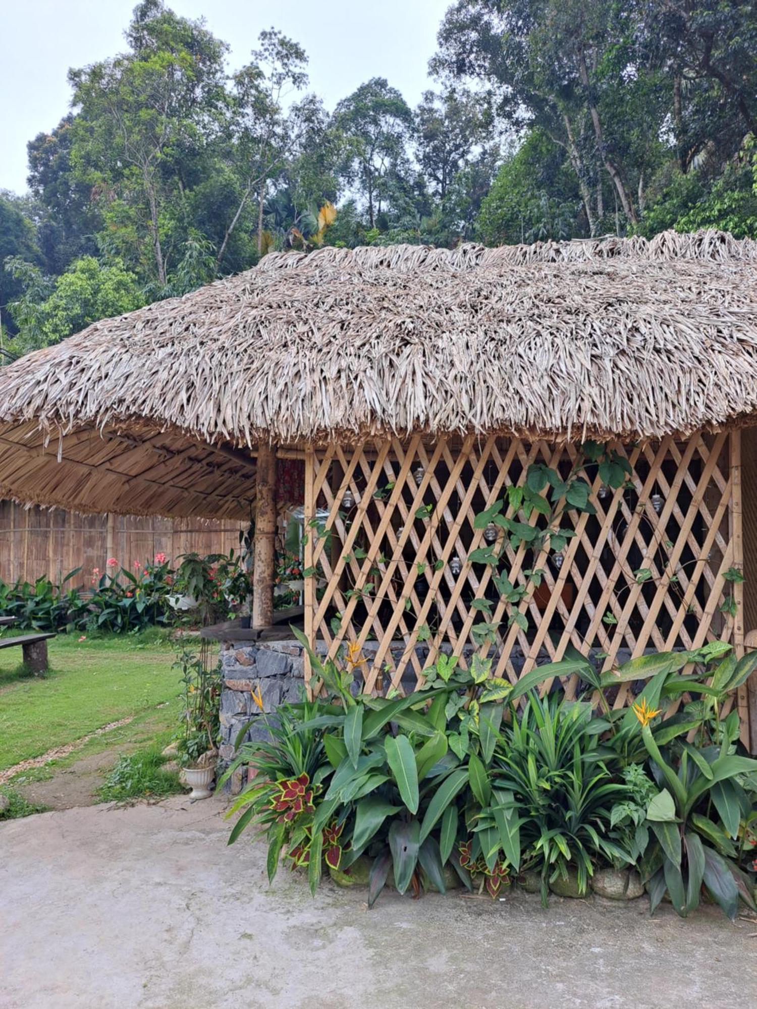 Homestay Field - Bungalow, Ha Giang Loop Tour, Motorbikes Rental Bagian luar foto
